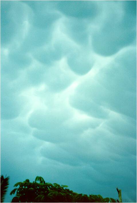 cumulonimbus mammatus2 cumulonimbus mammatus2