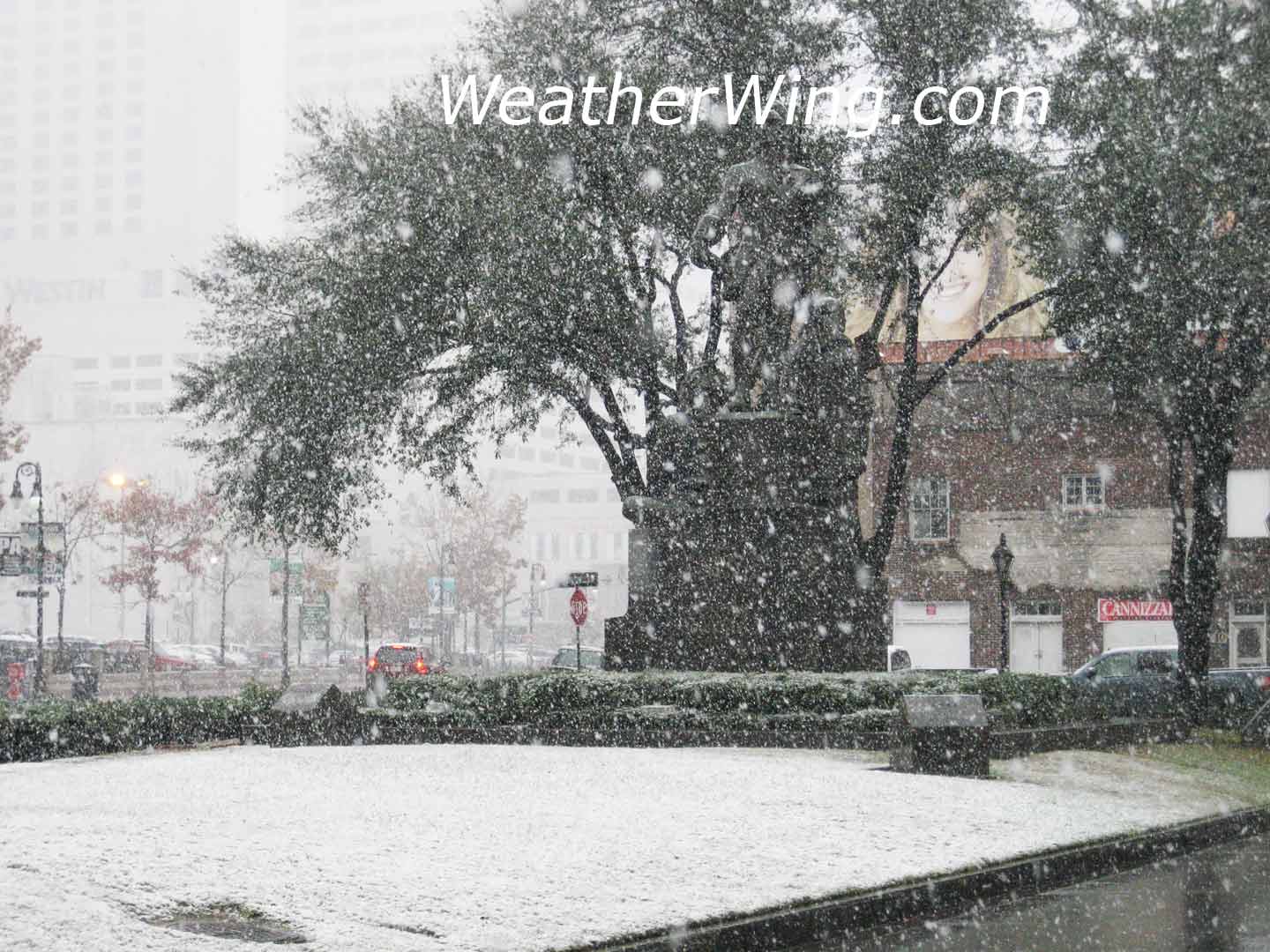 snow in New Orleans